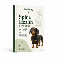 The Spine Health Playbook