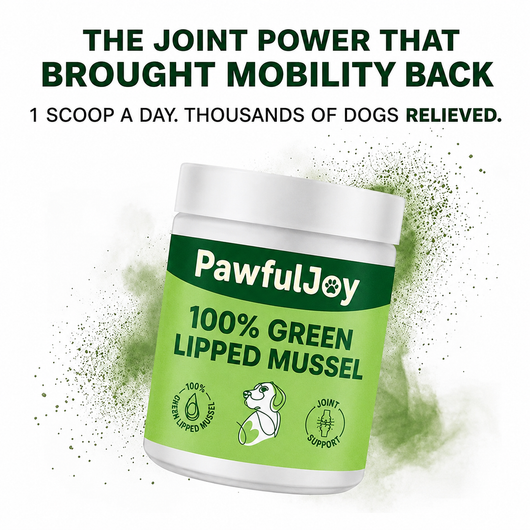 PawfulJoy - Hip & Joint Powder