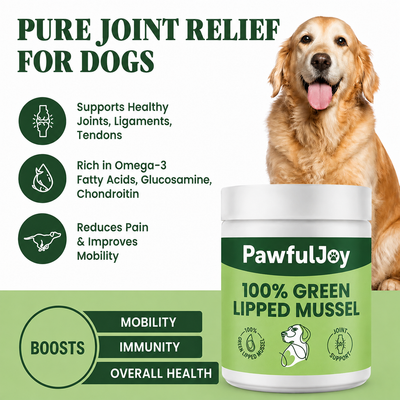 PawfulJoy - Hip & Joint Powder