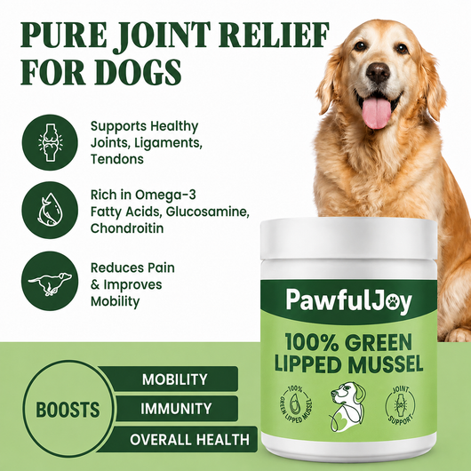PawfulJoy - Hip & Joint Powder