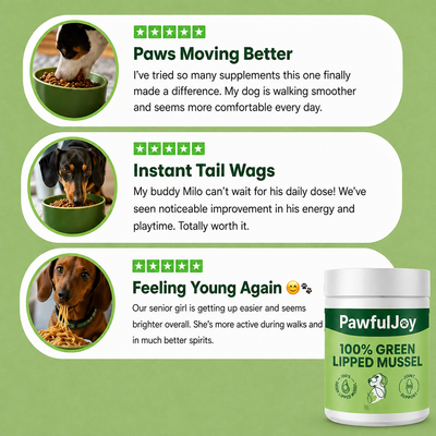 PawfulJoy - Hip & Joint Powder