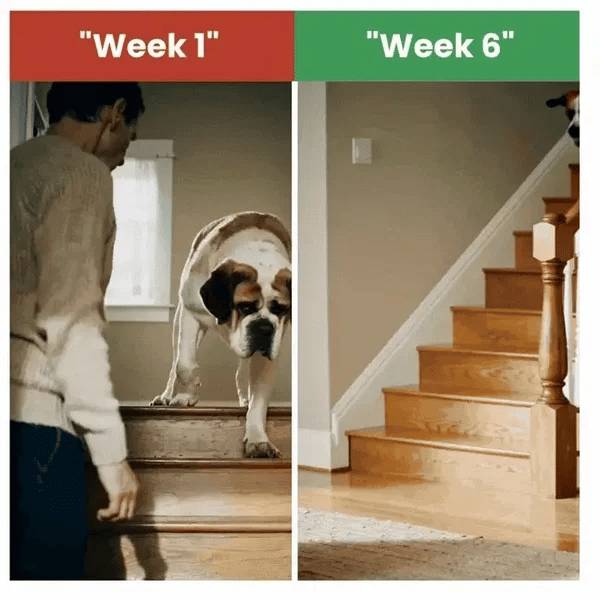 Reason #5: You Can See Results In Weeks, Not Months