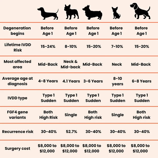 Reason #2: Disc Degeneration Starts Earlier Than You Think