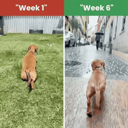 Reason #5: You Can See Results In Weeks, Not Months
