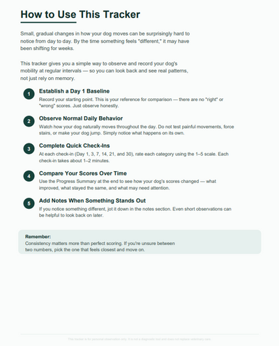 Hip & Joint Progression Tracker