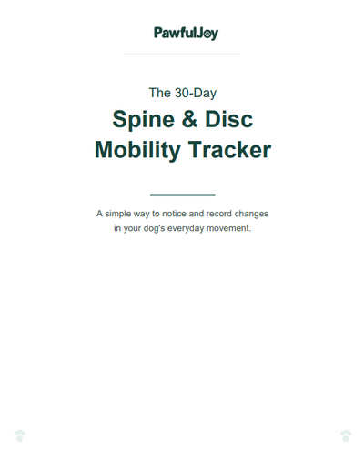 Spine & Disc Progression Tracker