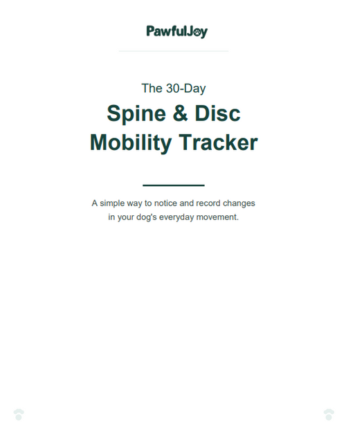 Spine & Disc Progression Tracker