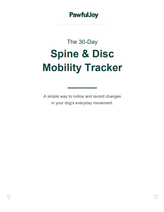 Spine & Disc Progression Tracker