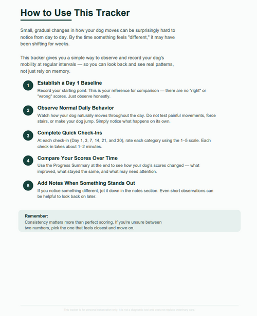 Spine & Disc Progression Tracker
