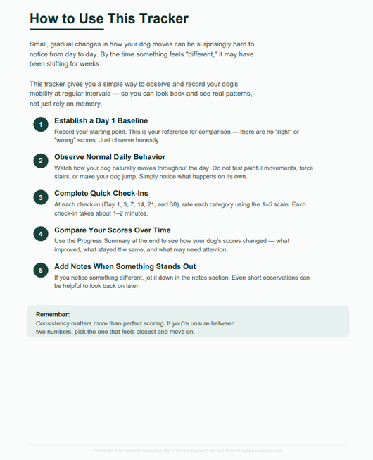 Spine & Disc Progression Tracker