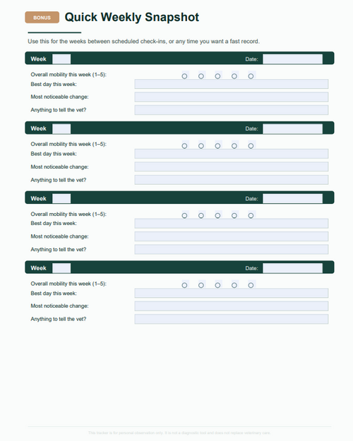 Spine & Disc Progression Tracker